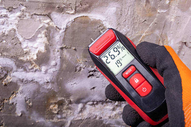Best Water Damage Restoration  in Mystic Island, NJ